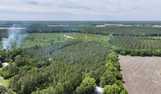 Photo #16 of Off of Skeeter Pond Rd, Grifton, NC 89.2 acres
