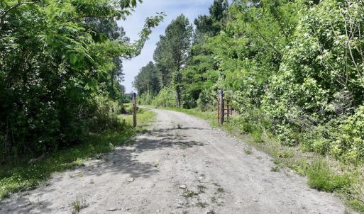 Photo #17 of Off of Skeeter Pond Rd, Grifton, NC 89.2 acres