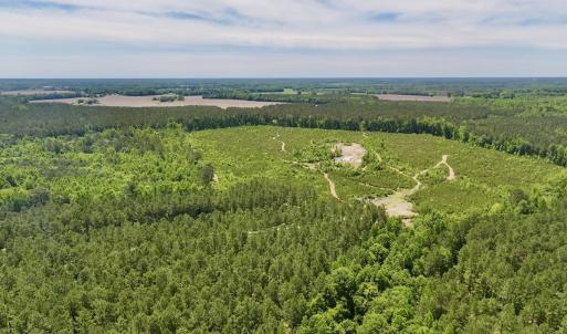 Photo #1 of Off of Skeeter Pond Rd, Grifton, NC 89.2 acres