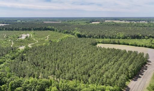 Photo #2 of Off of Skeeter Pond Rd, Grifton, NC 89.2 acres