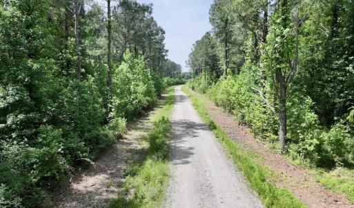 Photo #21 of Off of Skeeter Pond Rd, Grifton, NC 89.2 acres