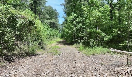 Photo #22 of Off of Skeeter Pond Rd, Grifton, NC 89.2 acres