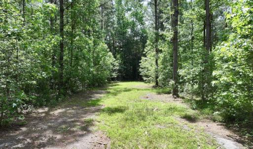 Photo #23 of Off of Skeeter Pond Rd, Grifton, NC 89.2 acres