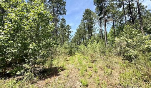 Photo #25 of Off of Skeeter Pond Rd, Grifton, NC 89.2 acres