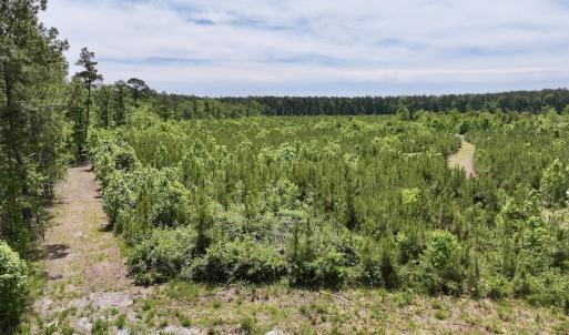 Photo #28 of Off of Skeeter Pond Rd, Grifton, NC 89.2 acres
