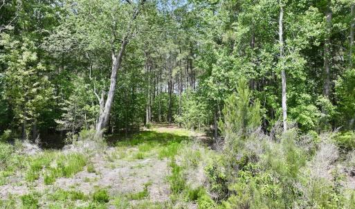 Photo #29 of Off of Skeeter Pond Rd, Grifton, NC 89.2 acres
