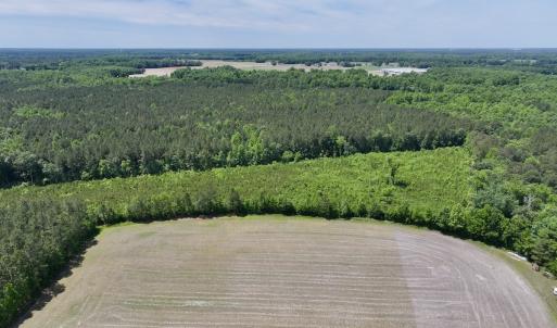Photo #3 of Off of Skeeter Pond Rd, Grifton, NC 89.2 acres