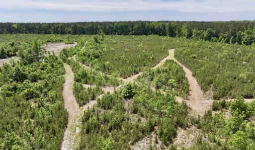 Photo #31 of Off of Skeeter Pond Rd, Grifton, NC 89.2 acres
