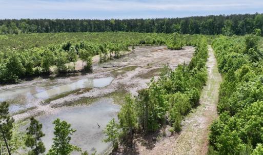Photo #32 of Off of Skeeter Pond Rd, Grifton, NC 89.2 acres