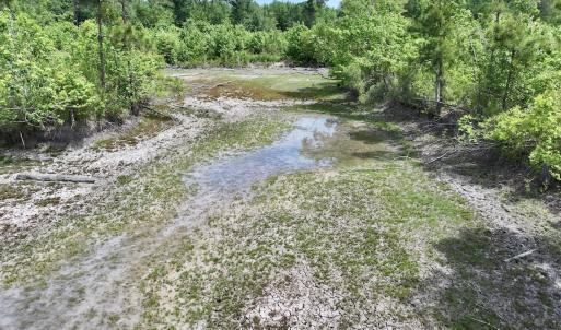 Photo #37 of Off of Skeeter Pond Rd, Grifton, NC 89.2 acres