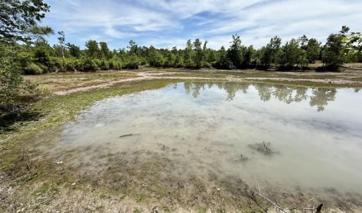 Photo #38 of Off of Skeeter Pond Rd, Grifton, NC 89.2 acres
