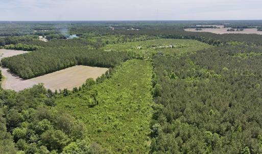 Photo #4 of Off of Skeeter Pond Rd, Grifton, NC 89.2 acres
