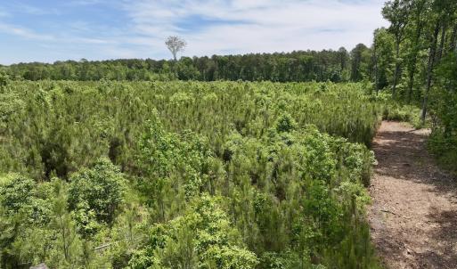 Photo #40 of Off of Skeeter Pond Rd, Grifton, NC 89.2 acres