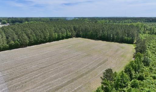 Photo #5 of Off of Skeeter Pond Rd, Grifton, NC 89.2 acres