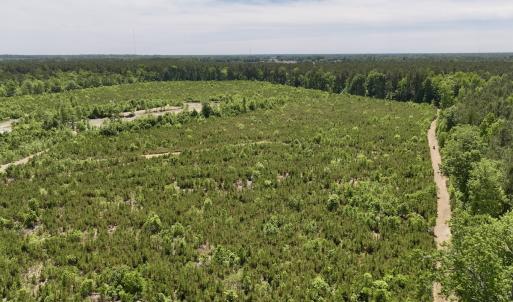 Photo #6 of Off of Skeeter Pond Rd, Grifton, NC 89.2 acres