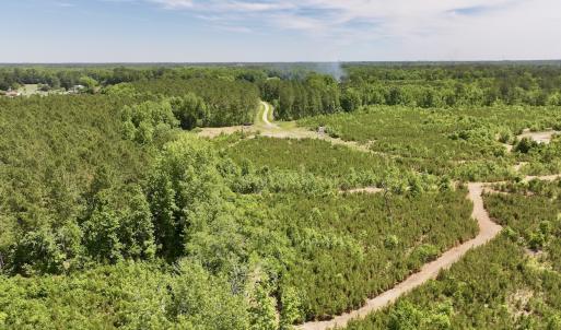 Photo #7 of Off of Skeeter Pond Rd, Grifton, NC 89.2 acres