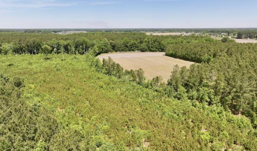 Photo #8 of Off of Skeeter Pond Rd, Grifton, NC 89.2 acres