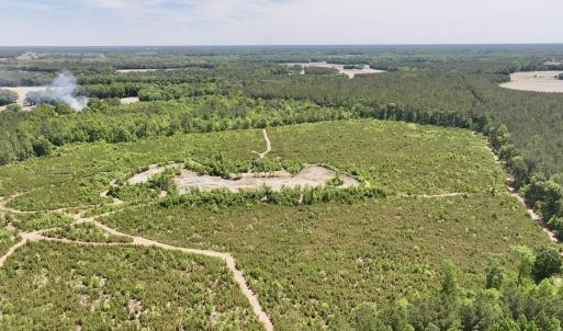 Photo #9 of Off of Skeeter Pond Rd, Grifton, NC 89.2 acres