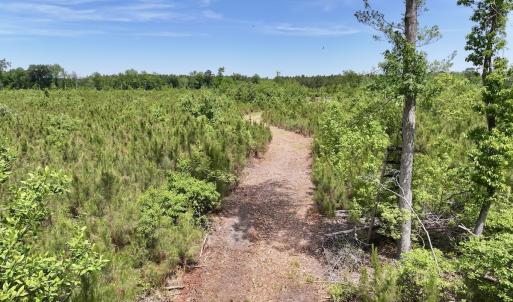 Photo #41 of Off of Skeeter Pond Rd, Grifton, NC 89.2 acres