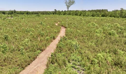 Photo #42 of Off of Skeeter Pond Rd, Grifton, NC 89.2 acres