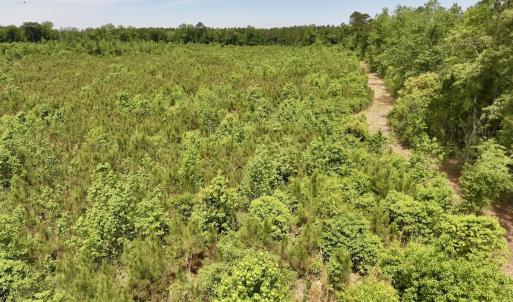 Photo #43 of Off of Skeeter Pond Rd, Grifton, NC 89.2 acres