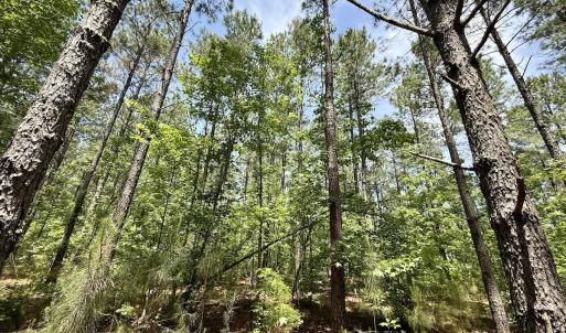 Photo #45 of Off of Skeeter Pond Rd, Grifton, NC 89.2 acres