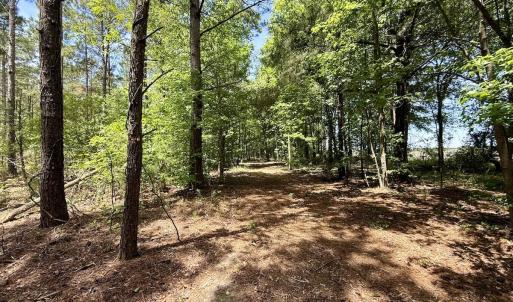 Photo #46 of Off of Skeeter Pond Rd, Grifton, NC 89.2 acres