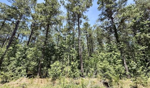 Photo #47 of Off of Skeeter Pond Rd, Grifton, NC 89.2 acres