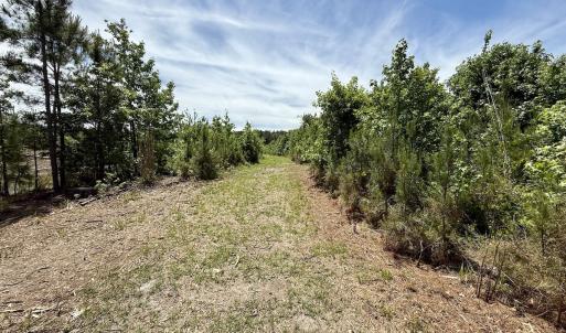 Photo #49 of Off of Skeeter Pond Rd, Grifton, NC 89.2 acres