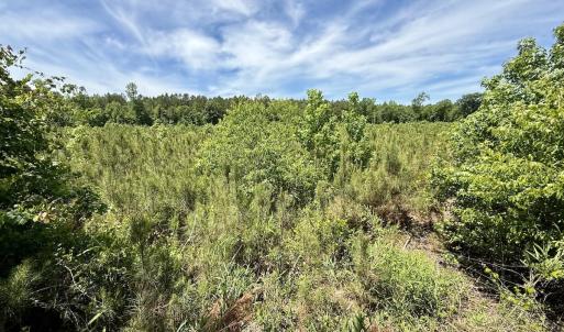 Photo #50 of Off of Skeeter Pond Rd, Grifton, NC 89.2 acres
