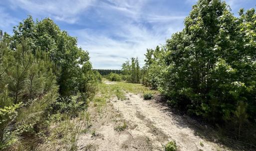 Photo #52 of Off of Skeeter Pond Rd, Grifton, NC 89.2 acres