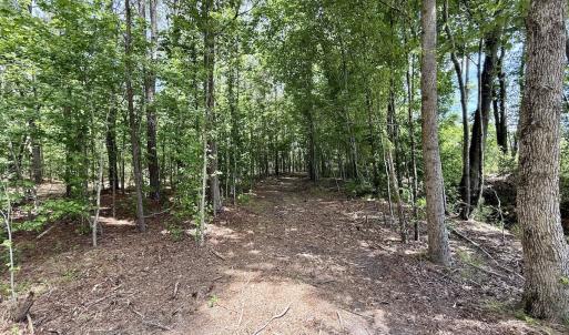 Photo #53 of Off of Skeeter Pond Rd, Grifton, NC 89.2 acres