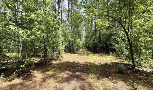 Photo #54 of Off of Skeeter Pond Rd, Grifton, NC 89.2 acres