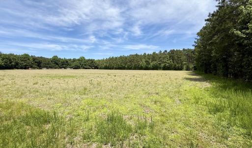 Photo #55 of Off of Skeeter Pond Rd, Grifton, NC 89.2 acres