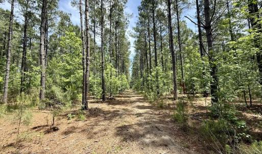 Photo #56 of Off of Skeeter Pond Rd, Grifton, NC 89.2 acres
