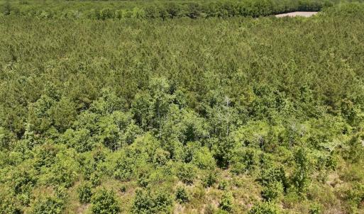 Photo #11 of Off of Guinea Mill Rd, Ernul, NC 135.0 acres