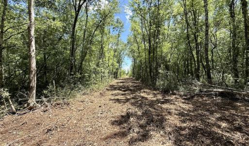 Photo #27 of Off of Guinea Mill Rd, Ernul, NC 135.0 acres