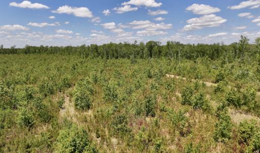 Photo #8 of Off of Guinea Mill Rd, Ernul, NC 135.0 acres