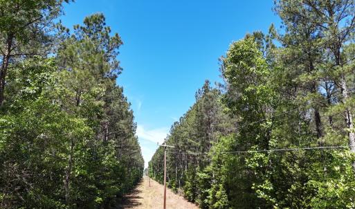 Photo #10 of Off of Concord Sappony Rd, Stony Creek, VA 28.0 acres