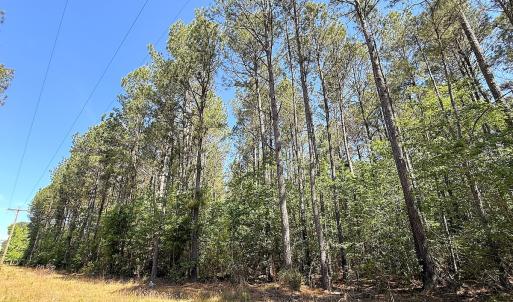 Photo #11 of Off of Concord Sappony Rd, Stony Creek, VA 28.0 acres