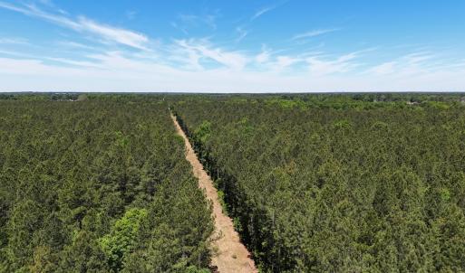 Photo #13 of Off of Concord Sappony Rd, Stony Creek, VA 28.0 acres