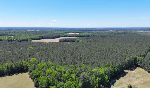 Photo #14 of Off of Concord Sappony Rd, Stony Creek, VA 28.0 acres