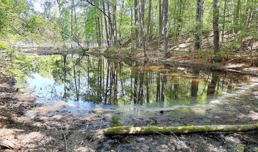Photo #15 of Off of Concord Sappony Rd, Stony Creek, VA 28.0 acres