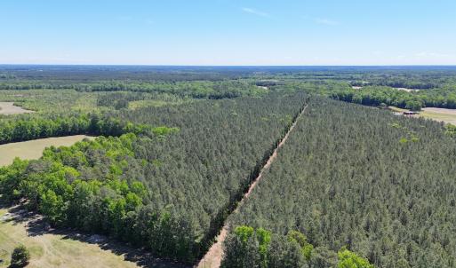 Photo #19 of Off of Concord Sappony Rd, Stony Creek, VA 28.0 acres