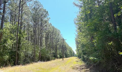 Photo #20 of Off of Concord Sappony Rd, Stony Creek, VA 28.0 acres