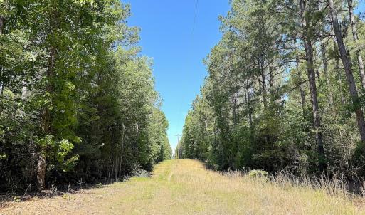 Photo #22 of Off of Concord Sappony Rd, Stony Creek, VA 28.0 acres