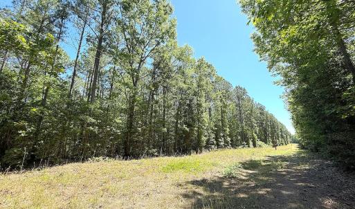 Photo #23 of Off of Concord Sappony Rd, Stony Creek, VA 28.0 acres