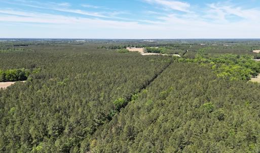 Photo #24 of Off of Concord Sappony Rd, Stony Creek, VA 28.0 acres