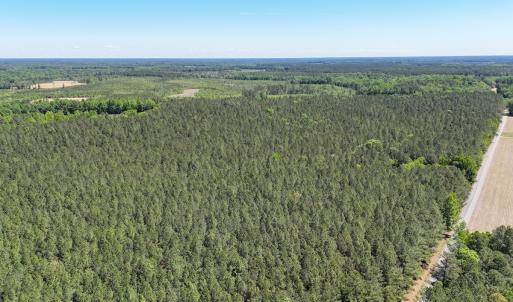 Photo #25 of Off of Concord Sappony Rd, Stony Creek, VA 28.0 acres