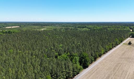 Photo #26 of Off of Concord Sappony Rd, Stony Creek, VA 28.0 acres